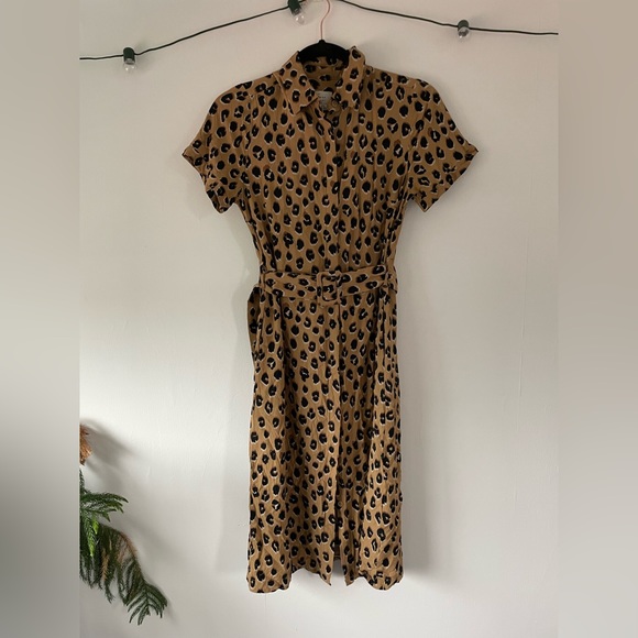 A New Day Animal Print Dress - Picture 9 of 16